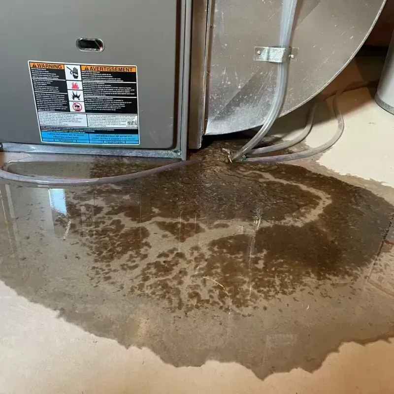 Appliance Leak Cleanup in Galt, CA